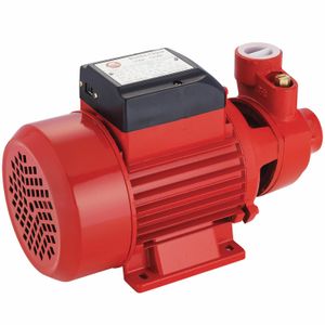 Bomba D'Água Periférica 1/2hp 10bar 1" Bivolt Worker