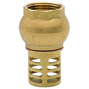 Válvula de Sucção para Poço Latão Europeu 1.1/4" Arco