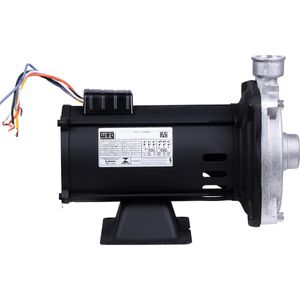 Bomba Centrífuga CAM W-6 2Cv Dancor
